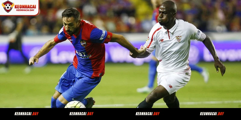 cach-doc-bang-livescore-ket-qua-bong-da-cho-tan-binh