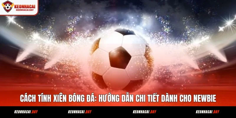 cach-tinh-xien-bong-da-huong-dan-chi-tiet-danh-cho-newbie