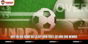 keo-tai-xiu-bong-da-la-gi-kien-thuc-co-ban-cho-newbie