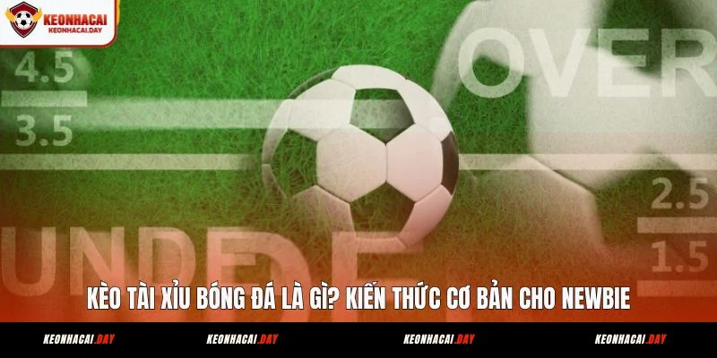 keo-tai-xiu-bong-da-la-gi-kien-thuc-co-ban-cho-newbie