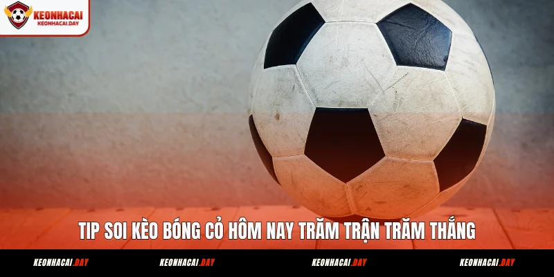 tip-soi-keo-bong-co-hom-nay-tram-tran-tram-thang