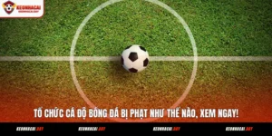 to-chuc-ca-do-bong-da-bi-phat-nhu-the-nao-xem-ngay